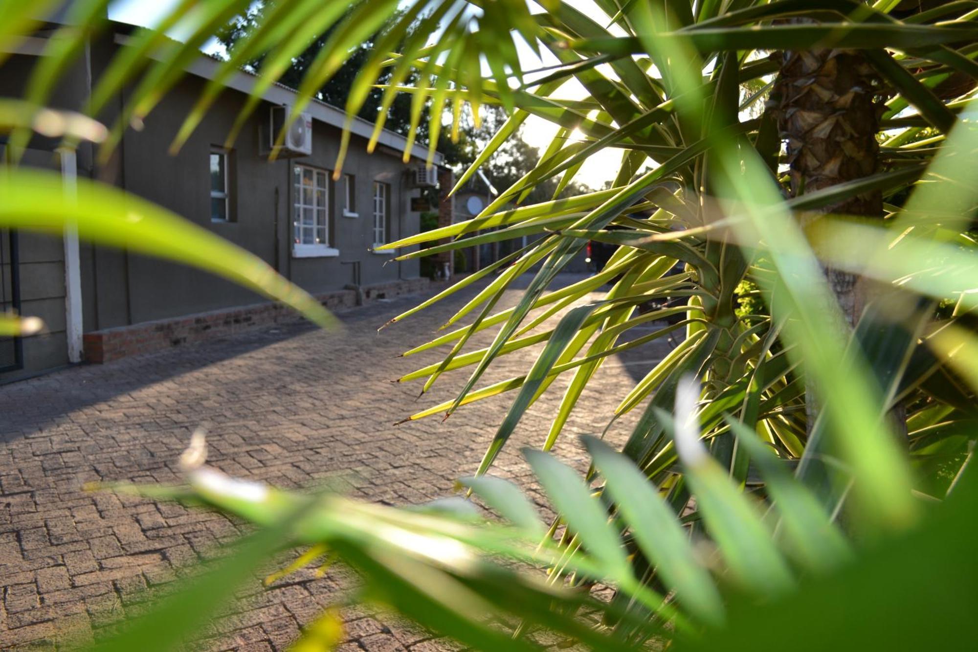 Travel North Guesthouse ツメブ エクステリア 写真